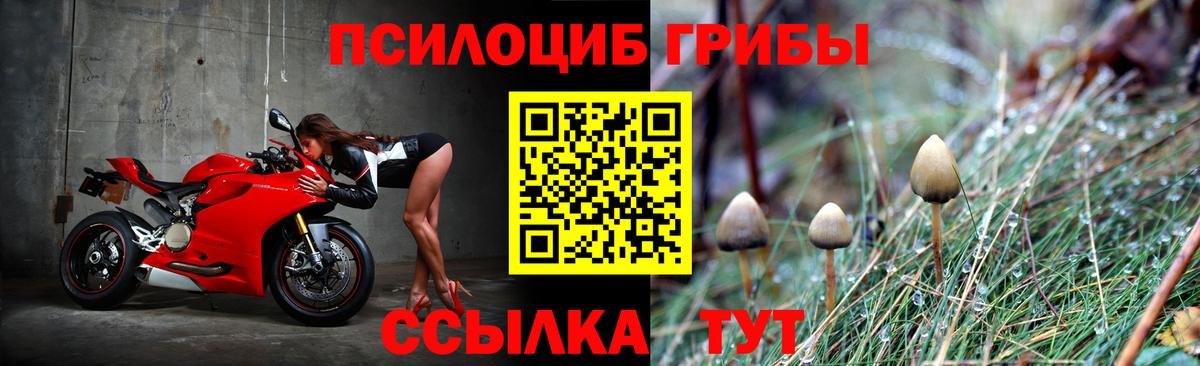 что такое наркотик  Псилоцибиновые грибы GOLDEN TEACHER  Вход с VPN  Строитель  Псилоцибиновые грибы ЛСД 